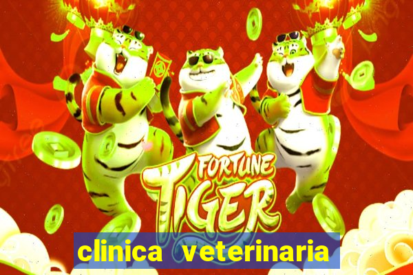 clinica veterinaria cuidar betim